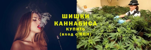 мяу мяу кристалл Богданович